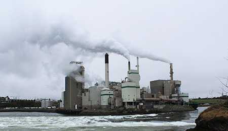 Paper industry