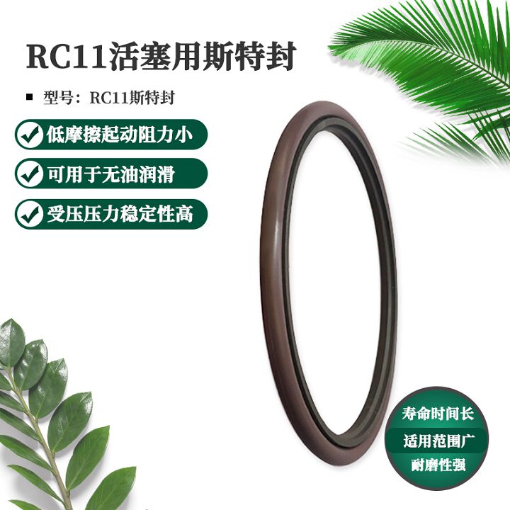 RC11斯特封.jpg